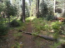 photo thumbnail #10