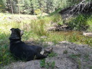 photo thumbnail #11
