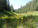 photo thumbnail #12