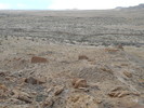 photo thumbnail #14
