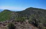 2014-08-10 :1: Pine Mtn from FR 68G TH - Verde Rim :: Grasshopper