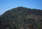 2014-08-10 :1: Pine Mtn from FR 68G TH - Verde Rim :: Grasshopper