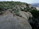 photo thumbnail #13