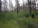 photo thumbnail #2