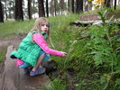 photo thumbnail #8