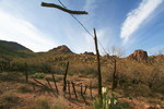 photo thumbnail #8