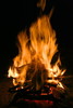 photo thumbnail #10