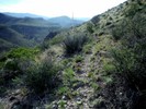 photo thumbnail #12