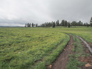 photo thumbnail #1