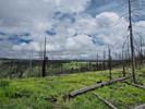 photo thumbnail #3
