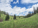 photo thumbnail #8