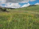photo thumbnail #14