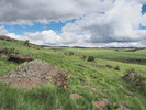photo thumbnail #15