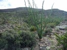 photo thumbnail #5