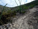photo thumbnail #6