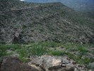 photo thumbnail #11