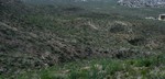 photo thumbnail #12