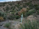 photo thumbnail #15