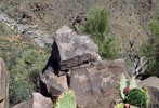 photo thumbnail #10