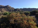 photo thumbnail #1