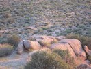 photo thumbnail #1