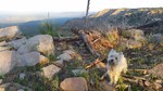 photo thumbnail #4