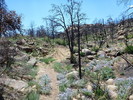 photo thumbnail #1