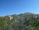 photo thumbnail #4