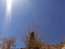 photo thumbnail #3