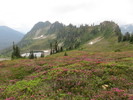 photo thumbnail #8
