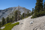 photo thumbnail #13