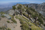 photo thumbnail #14