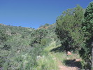 photo thumbnail #2