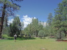 photo thumbnail #10