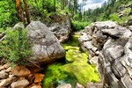 photo thumbnail #4