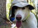 photo thumbnail #13