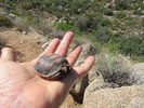 photo thumbnail #2
