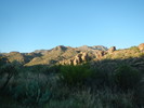 photo thumbnail #2