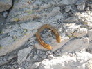 photo thumbnail #11