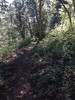 photo thumbnail #14