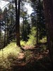 photo thumbnail #15