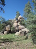 photo thumbnail #13