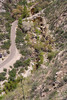 2014-08-17 :3: Lower Sabino Canyon Loop :: mdfabbrini