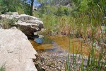 2014-08-17 :3: Lower Sabino Canyon Loop :: mdfabbrini