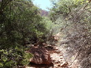 photo thumbnail #4