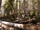 photo thumbnail #12