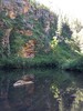 photo thumbnail #7