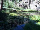 photo thumbnail #15