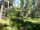 photo thumbnail #3