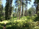photo thumbnail #4